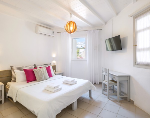 STUDIO WITH GARDEN VIEW